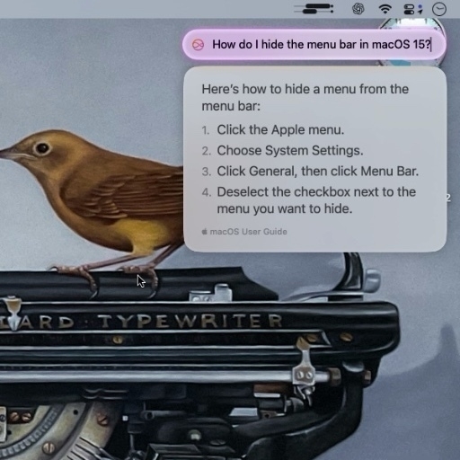 This image shows a macOS desktop screenshot with a search query and instructions displayed in a floating window.