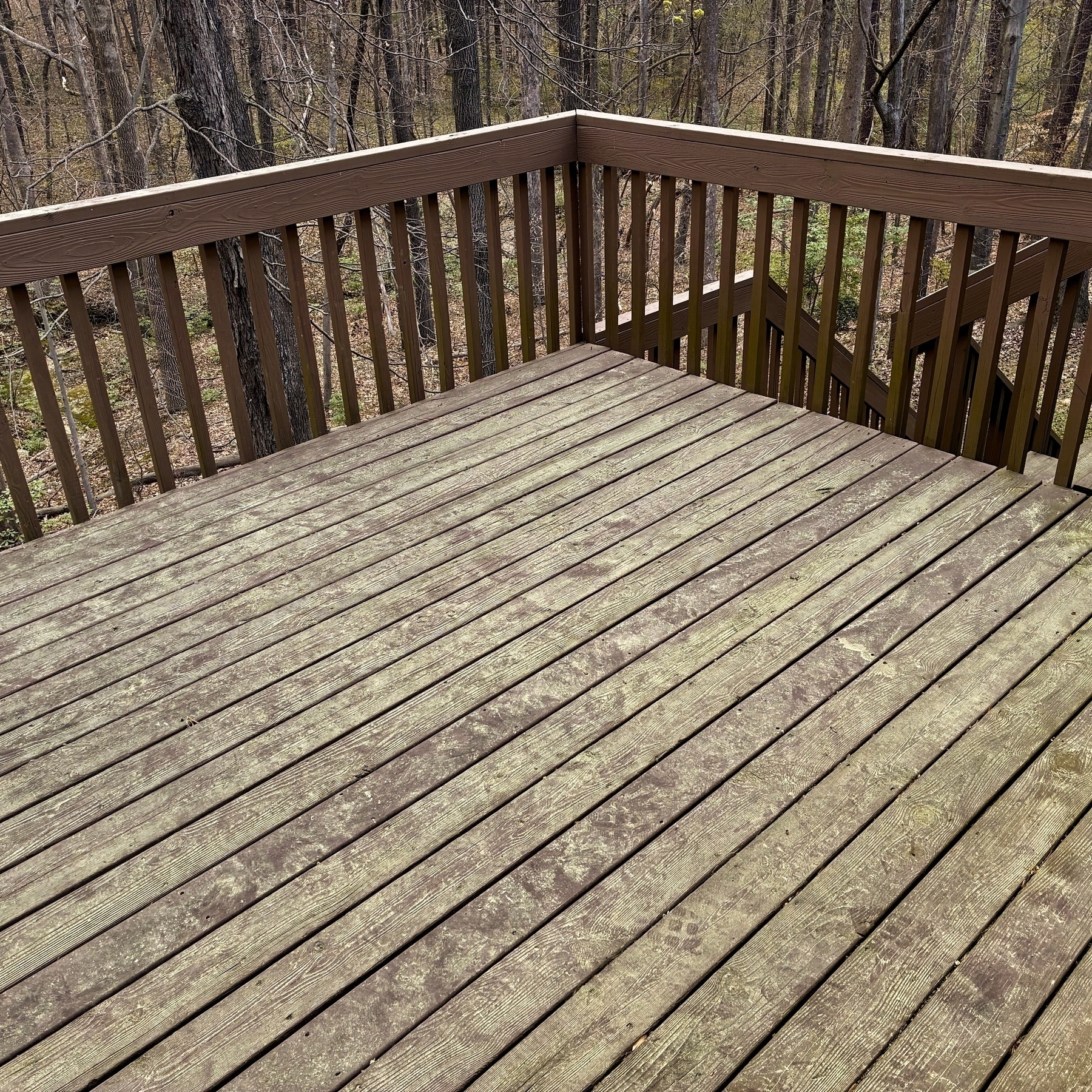 A wooden deck overlooks a forested area with trees and leaf-covered ground.